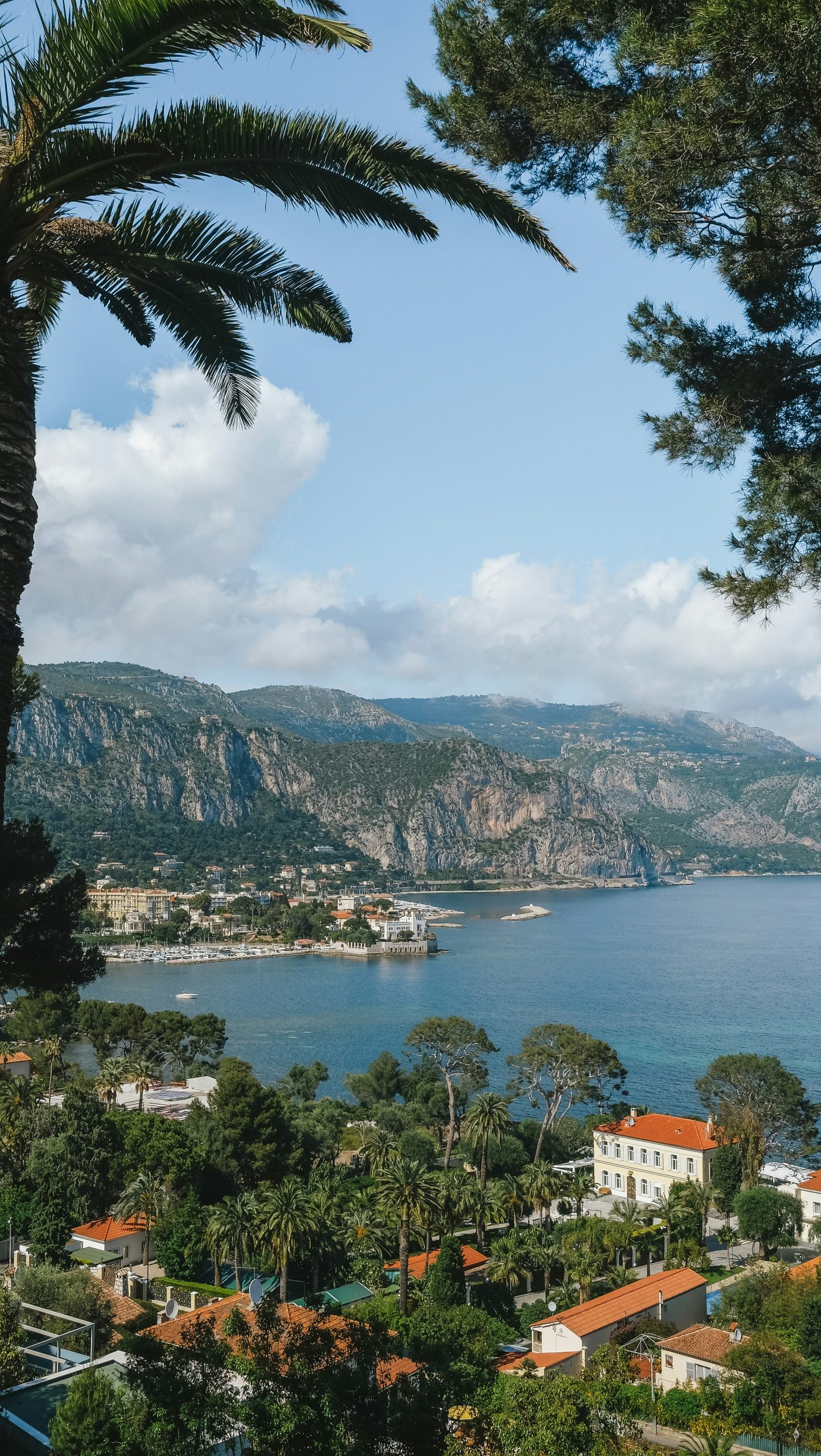 chelsea essig 7po6b9v pui unsplash